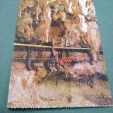 Cumpara ieftin CARTE POSTALA BIHOR-PESTERA URSILOR CHISCAU NECIRCULATA