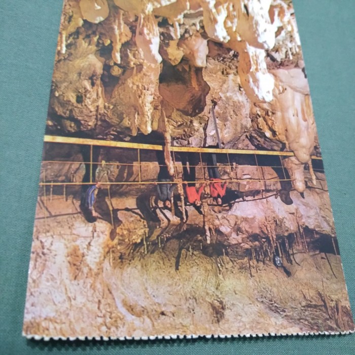 CARTE POSTALA BIHOR-PESTERA URSILOR CHISCAU NECIRCULATA