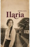 Roman Beletristica Ilaria de Didina Sava - Drama sociala, psihologica, violenta domestica