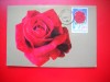 HOPCT MAXIMA ROMANIA NR 1207 TRANDAFIR ROSU -FLORI