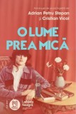 O lume prea mică roman beletristica volum colectiv poveste generatie Lebada Neagra paperback