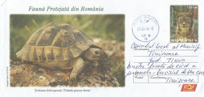 Romania, Fauna protejata, Testoasa dobrogeana, intreg postal circulat, 2009