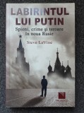 LABIRINTUL LUI PUTIN - Steve Levine
