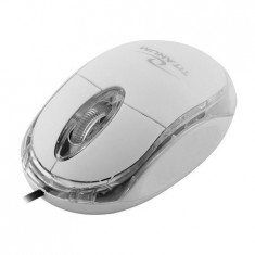 MOUSE OPTIC USB RAPTOR TITANUM ESPERANZA EuroGoods Quality foto