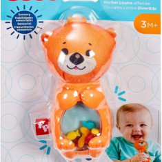 FISHER PRICE JUCARII ZORNAITOARE VIDRA