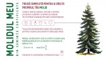 Cumpara ieftin Trusa completa pentru a creste propriul tau - Molid | Monora