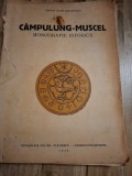 C&acirc;mpulung-Muscel,Monografie Istorica - Preot Ioan Răuțescu