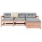 vidaXL Set canapele de grădină, 4 piese, lemn masiv brad douglas 3250802