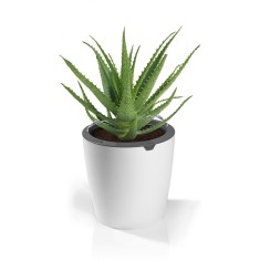 Giveci auto turnant Lowen lazy leaf