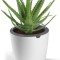 Giveci auto turnant Lowen lazy leaf