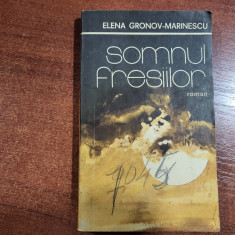 Somnul fresiilor de Elena Gronov-Marinescu