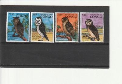 Fauna,pasari bufnite,Congo. foto