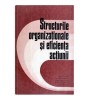 - Structurile organizationale si eficienta actiunii - 119377