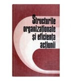 - Structurile organizationale si eficienta actiunii - 119377