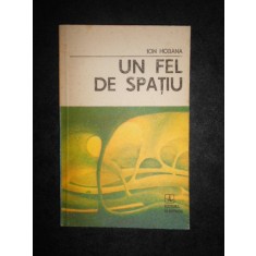 Ion Hobana - Un fel de spatiu