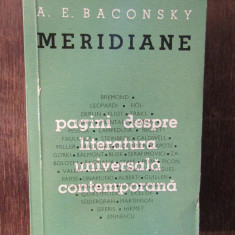 Baconsky: Meridiane - Pagini despre literatura universala contemporana