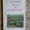Figuri De Carturari - Ioan Chindris