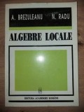 Algebre locale- A. Brezuleanu, N. Radu