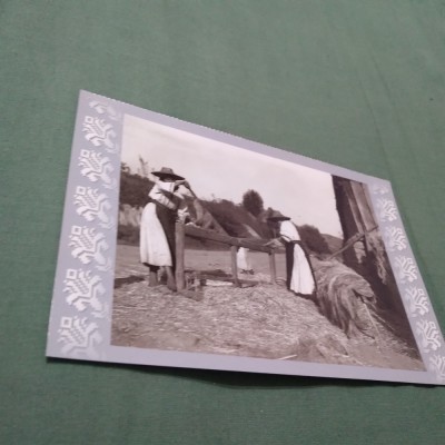 CARTE POSTALA MELITATUL CANEPII NECIRCULATA foto