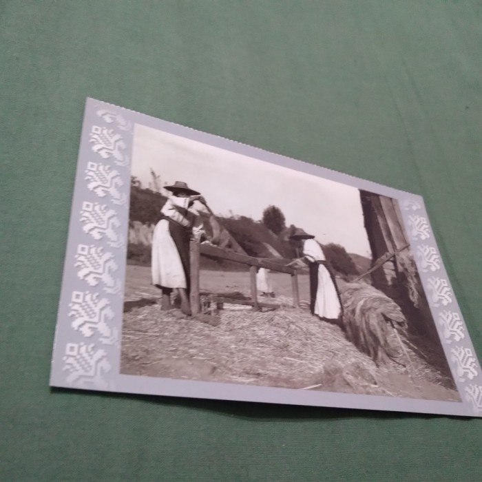 CARTE POSTALA MELITATUL CANEPII NECIRCULATA