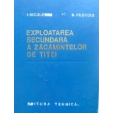 EXPLOATAREA SECUNDARA A ZACAMINTELOR DE TITEI-I. NICULESCU, N. PUSCOIU-231001
