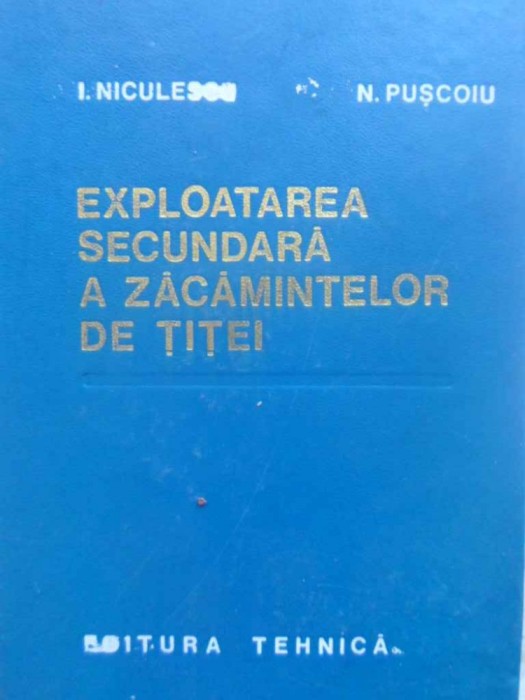 EXPLOATAREA SECUNDARA A ZACAMINTELOR DE TITEI-I. NICULESCU, N. PUSCOIU-231001