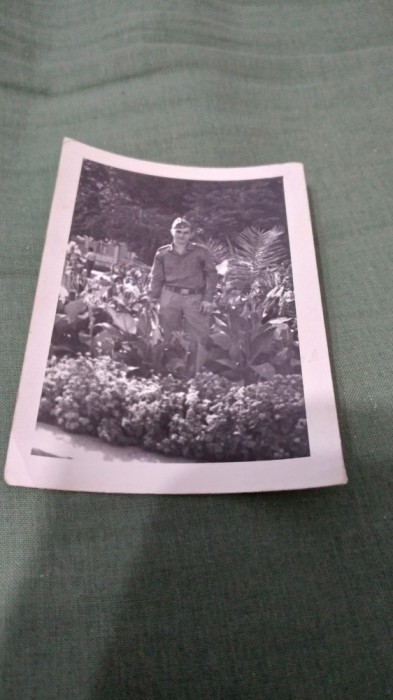 FOTO TIP 9/6 MILITAR