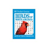 Pocket Genius Birds of North America