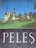 LE MUSEE PELES SINAIA , 1972