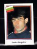 B10 - Sticker fotbal - Campionatul mondial USA - 1994 - nr 259