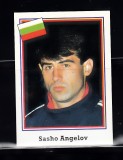B10 - Sticker fotbal - Campionatul mondial USA - 1994 - nr 259