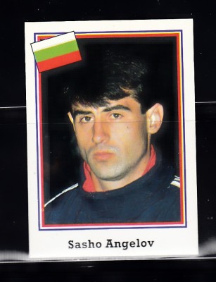 B10 - Sticker fotbal - Campionatul mondial USA - 1994 - nr 259 foto