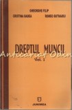 Cumpara ieftin Dreptul Muncii I - Gheorghe Filip, Cristina Badea, Romeo Butnariu - Editura Junimea, 2005, 338 pagini, ISBN 973-37-1047-4