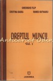 Cumpara ieftin Dreptul Muncii I - Gheorghe Filip, Cristina Badea, Romeo Butnariu