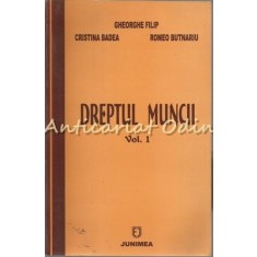 Dreptul Muncii I - Gheorghe Filip, Cristina Badea, Romeo Butnariu