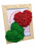 Tablou cu licheni personalizabil, inimi (Rosu Verde), Eventissimi&reg;