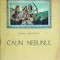 Mihai Eminescu - Calin Nebunul