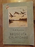 Broscuta calatoare- V. M. Garsin