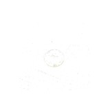 Garnitura Cuplaj Admisie Philips Originala Fier De Calcat Cod 423902274751
