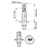 BEC FAR H1 55W 12V WHITE VISION ULTRA (blister) PHILIPS 2868