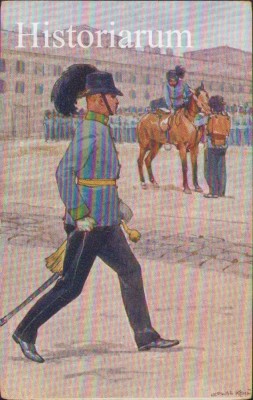 HST CP243 Carte poștală Ofițer kk Landwehrinfanterie foto