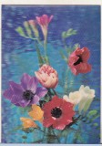 Bnk cp Carte postala 3D - Flori - Japonia - Wonder Co SSP-245, Necirculata, Printata
