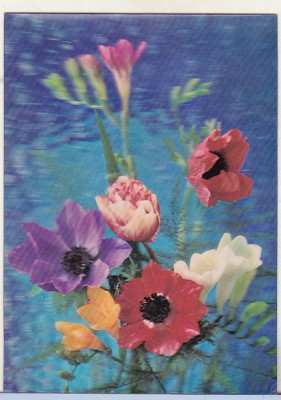 bnk cp Carte postala 3D - Flori - Japonia - Wonder Co SSP-245 foto