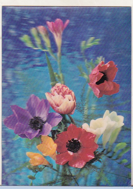 bnk cp Carte postala 3D - Flori - Japonia - Wonder Co SSP-245