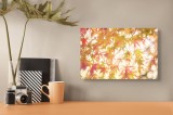 Tablou Canvas Toamnă Lumină Frunze Natură Bokeh Soare, 39 x 26 cm, CMCLASS