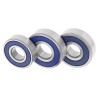 Kit Rulmenti Roata Spate Honda CMX250 85-16 VT125 Shadow 99-07 All Balls 25-1087
