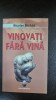 Vinovati fara vina - Nicolae Breban