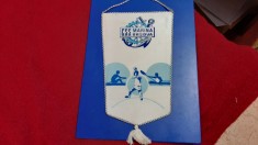 fanion CSS Marina Orsova foto