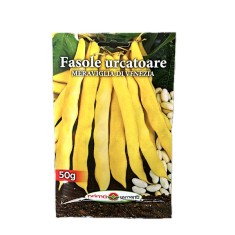 Seminte fasole lata urcatoare galbena Meraviglia di Venezia 50 gr, Prima Sementi