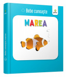 Marea |